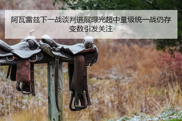 阿瓦雷兹下一战谈判进展曝光超中量级统一战仍存变数引发关注