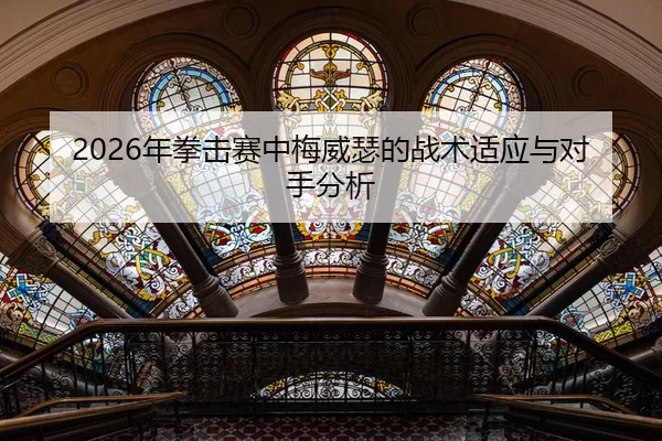 2026年拳击赛中梅威瑟的战术适应与对手分析