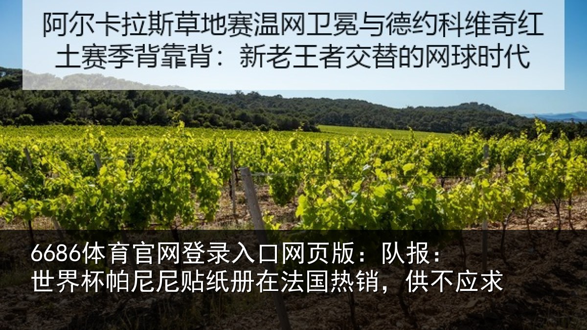 6686体育官网登录入口网页版：队报：世界杯帕尼尼贴纸册在法国热销，供不应求
