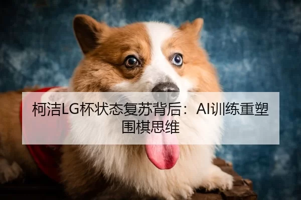 柯洁LG杯状态复苏背后：AI训练重塑围棋思维