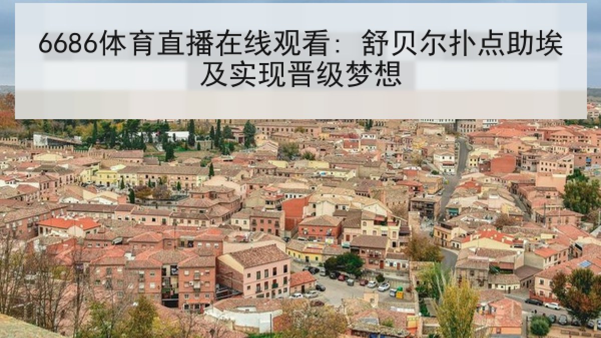 6686体育直播在线观看: 舒贝尔扑点助埃及实现晋级梦想