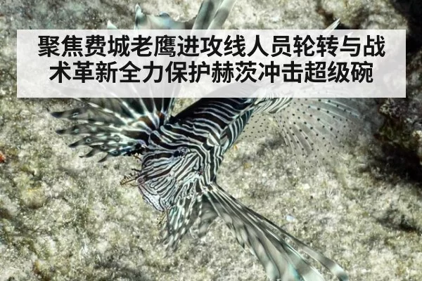 聚焦费城老鹰进攻线人员轮转与战术革新全力保护赫茨冲击超级碗