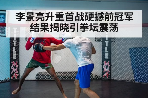 UFC fight